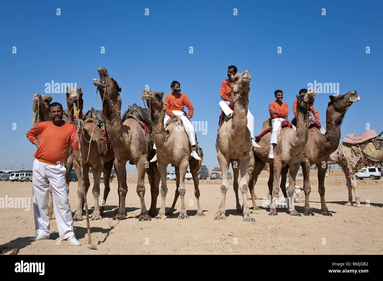 Camel giocatori di Polo. Jaisalmer. Il Rajasthan. India Foto Stock