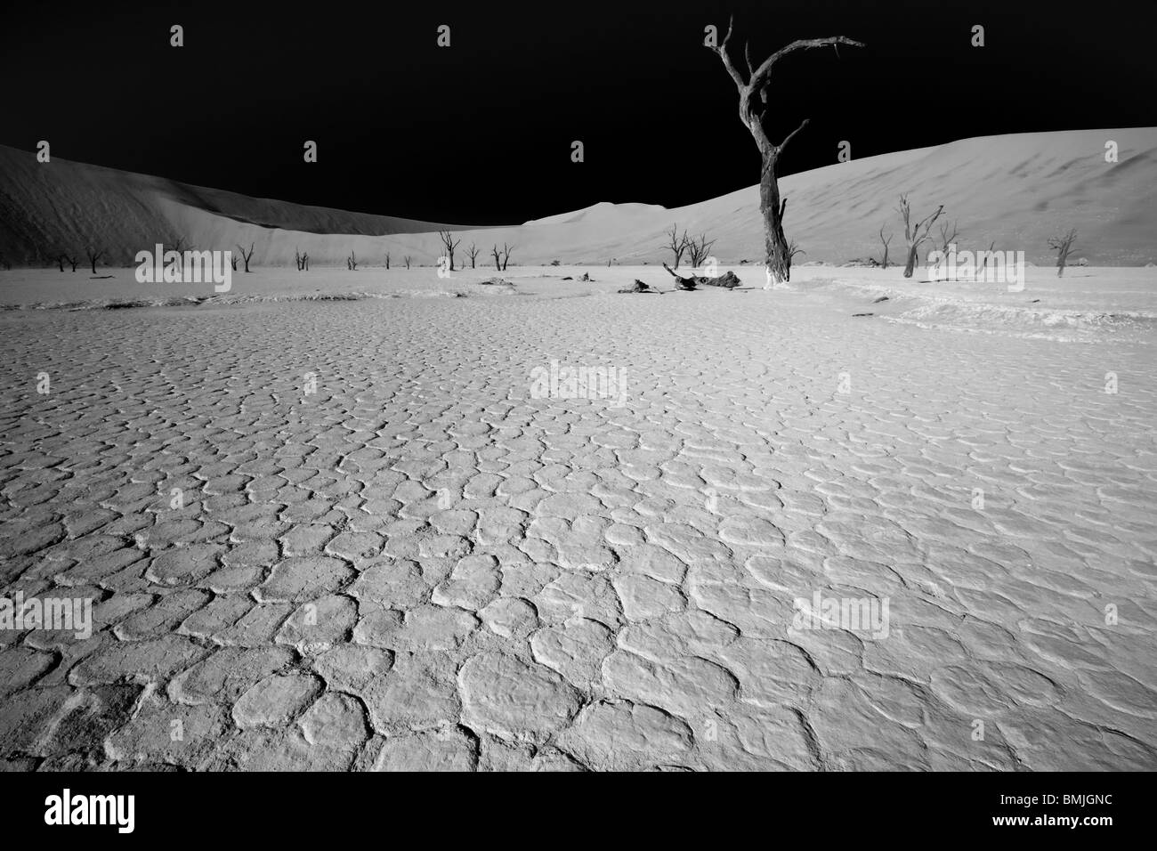 Concetto di ciò che la terra potrebbe avere un aspetto simile a quando il riscaldamento globale prende effetto pieno Foto Stock