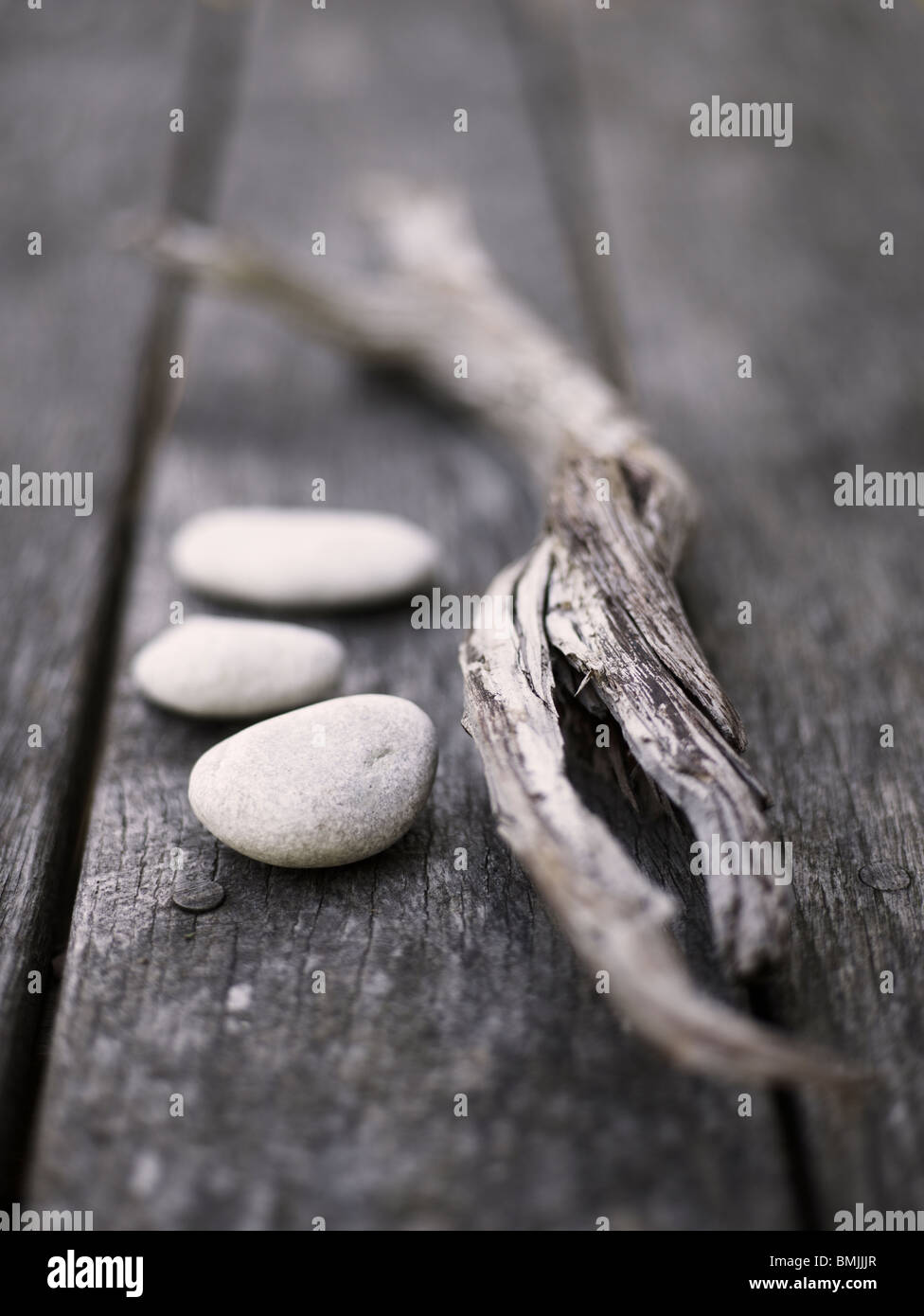 La Scandinavia, Svezia, Gotland, Driftwood e ciottoli, close-up Foto Stock