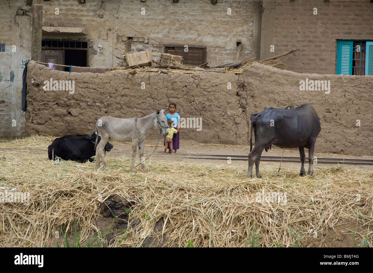Egitto Luxor. Tipica casa, la vita di tutti i giorni. Foto Stock