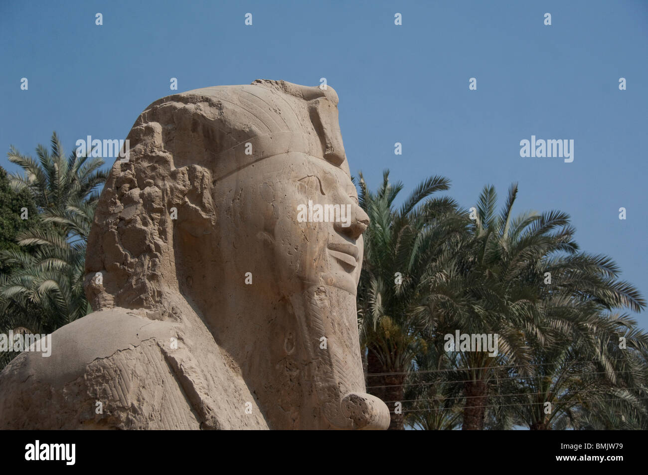 Egitto, Memphis (aka Menufer). La sfinge di alabastro di Amenophis II. Foto Stock