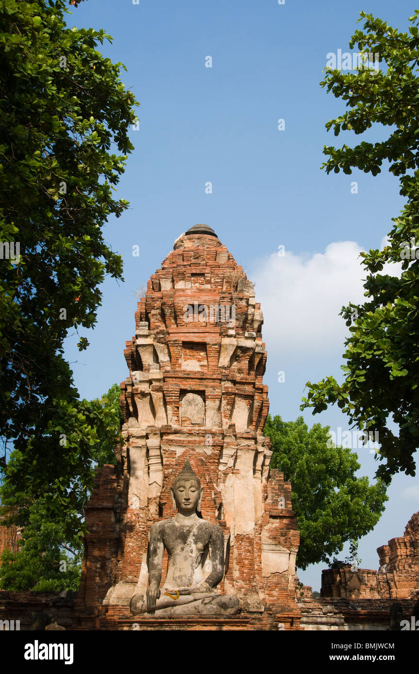 Relitto di immagine del Buddha e stupa di Wat Mahathat, Ayutthaya, Thailandia. Foto Stock