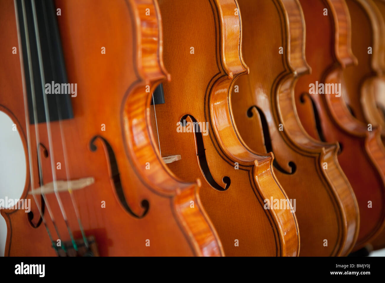 Finito di fatto a mano violini e viole. Foto Stock