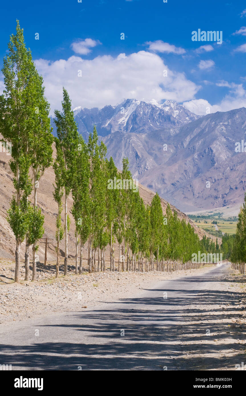 Strada di campagna con albero avenue, Wakhan Valley, Tagikistan Foto Stock