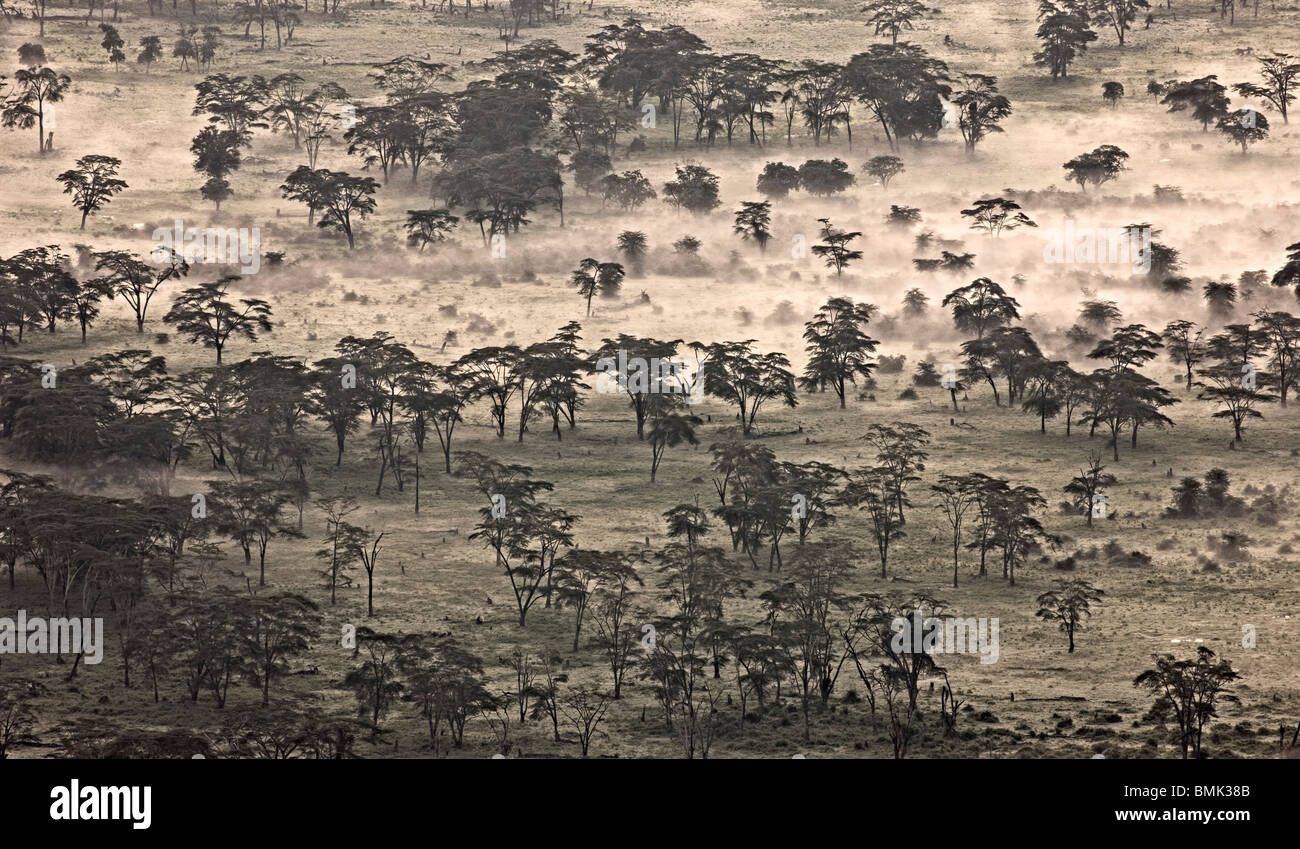Il cratere di Ngorongoro, Tanzania Africa Foto Stock