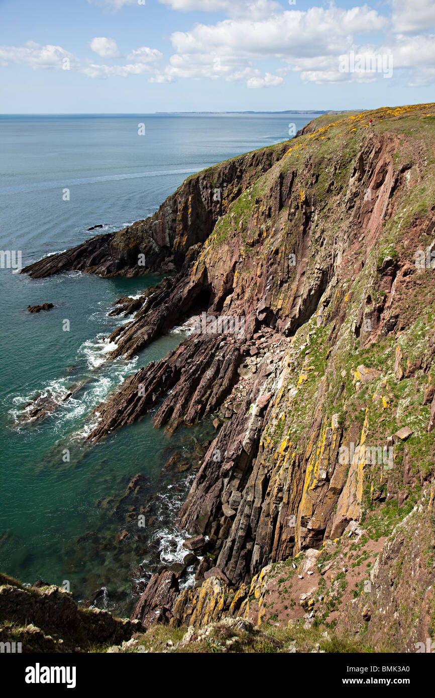 Persona in distanza in piedi sul bordo scogliera sulla costa percorso isola di Caldey Wales UK Foto Stock