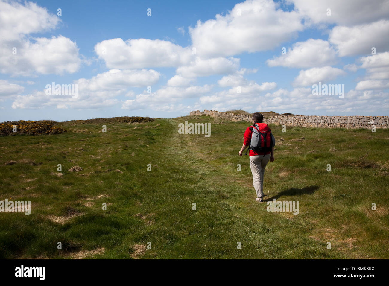 Donna che cammina sul sentiero costiero Caldey Island Wales UK Foto Stock