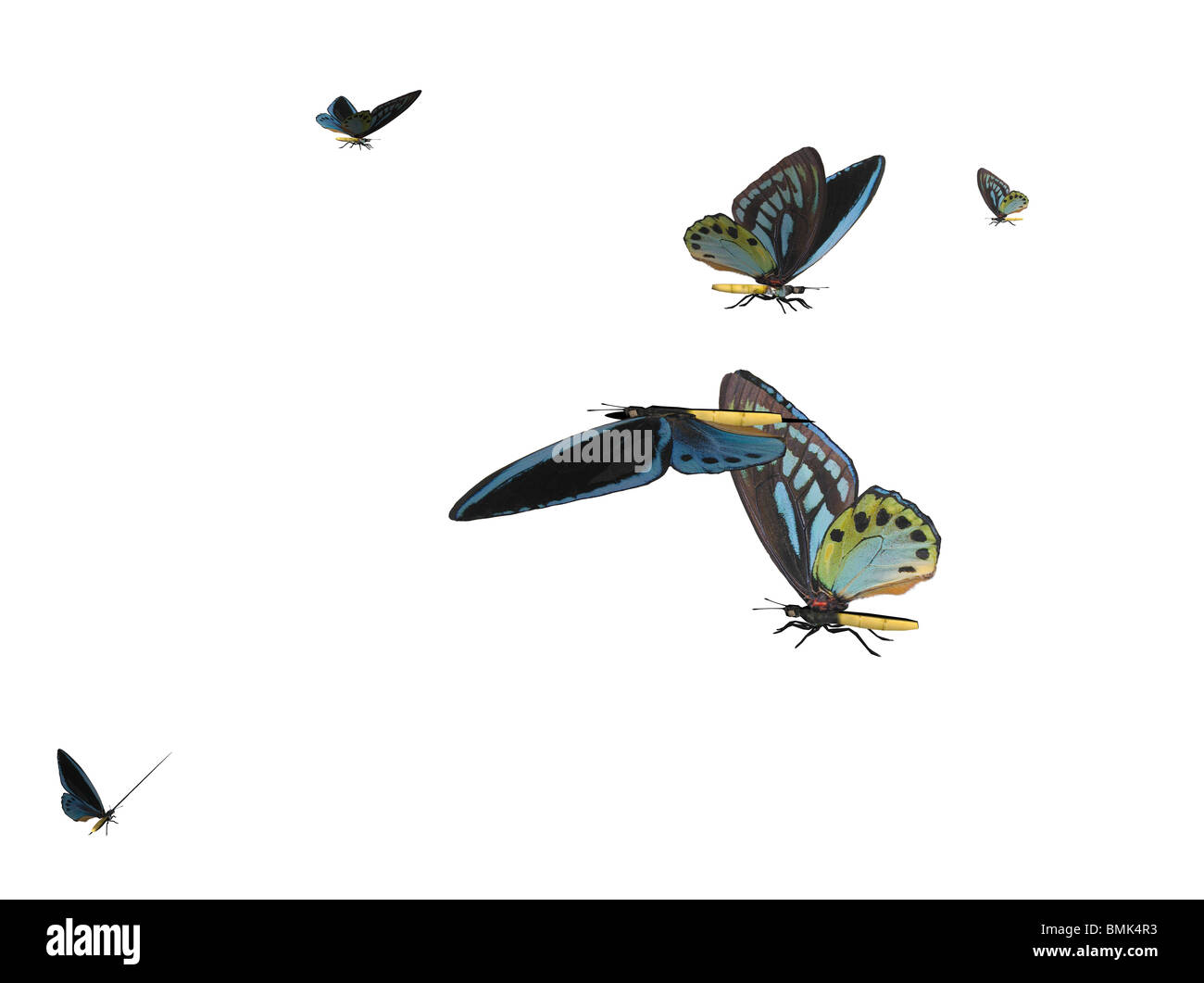 Illustrazione di un butterflyswarm, ray tracing image Foto Stock