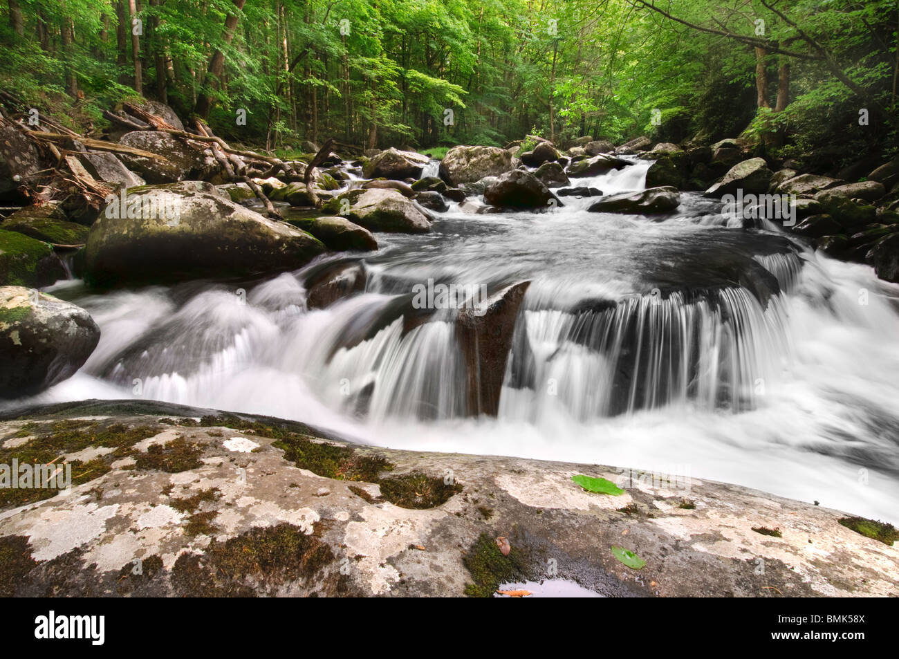 Smoky Mountain Waterfall Foto Stock