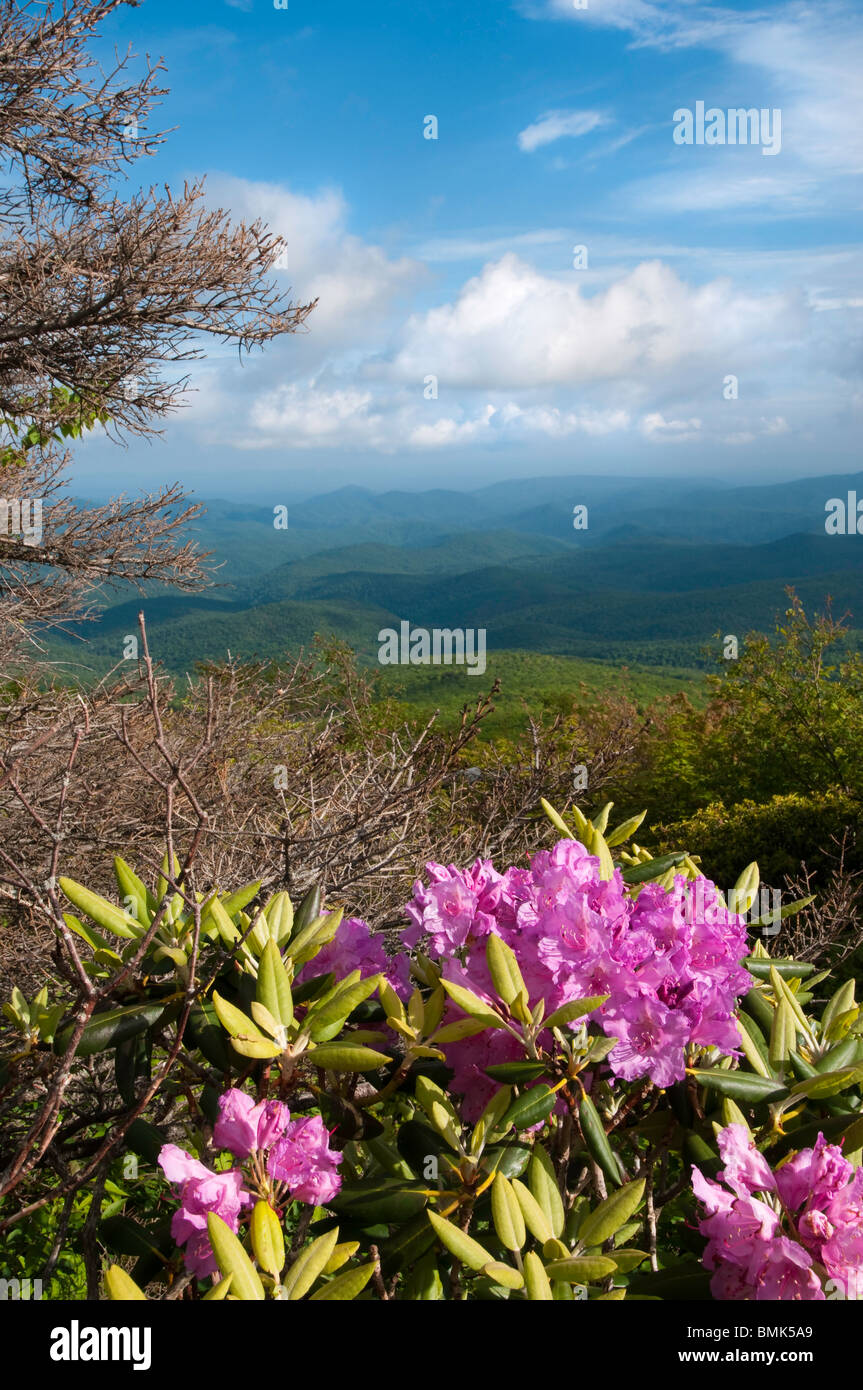 Vista delle Blue Ridge Mountains Foto Stock
