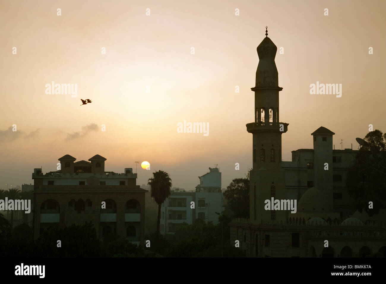 Alba sul Cairo, Egitto, Africa Foto Stock