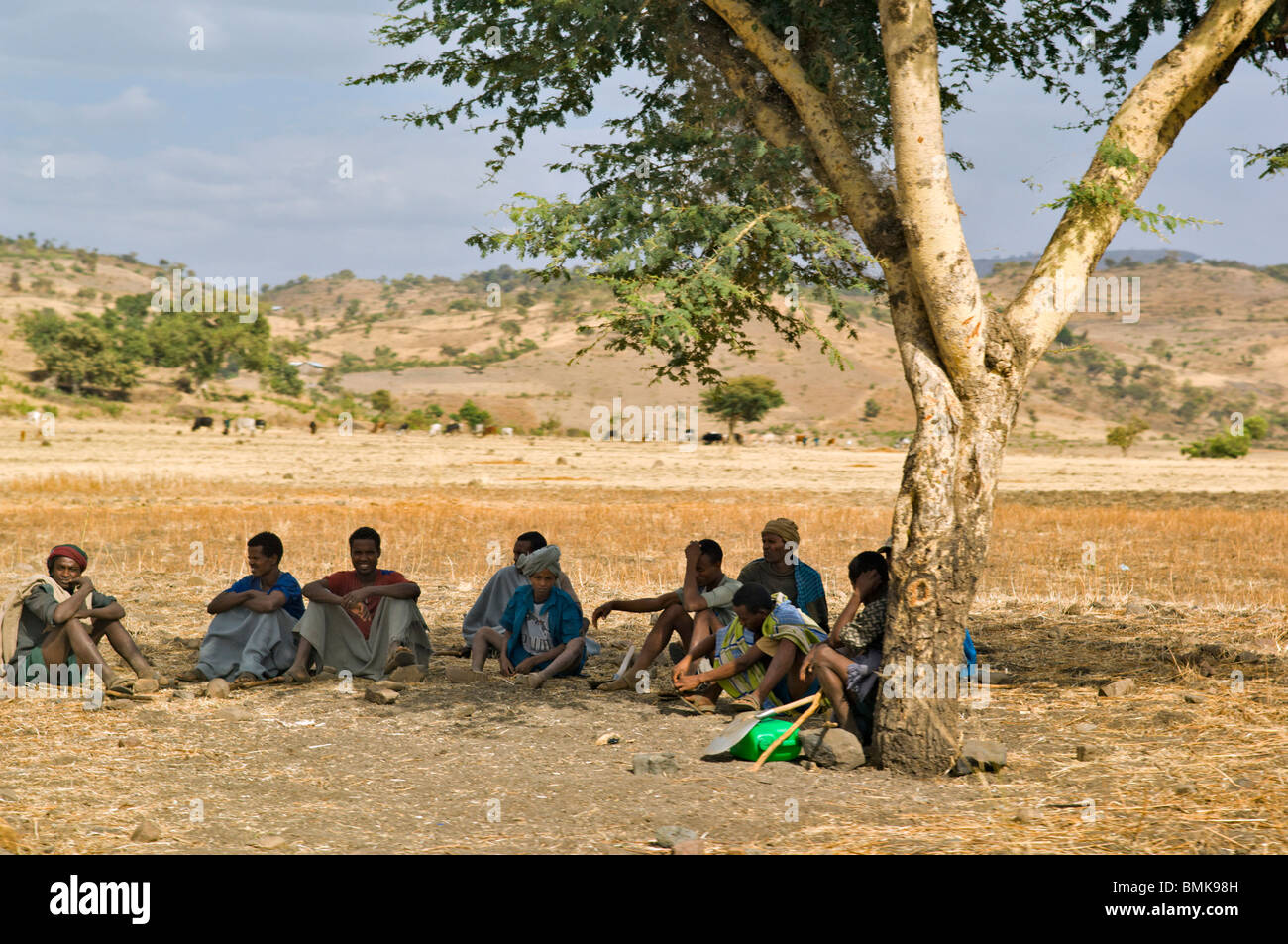 Un gruppo locale di lavoratori etiopici sedersi all'ombra di un albero lungo la strada di Gondar, Etiopia Foto Stock