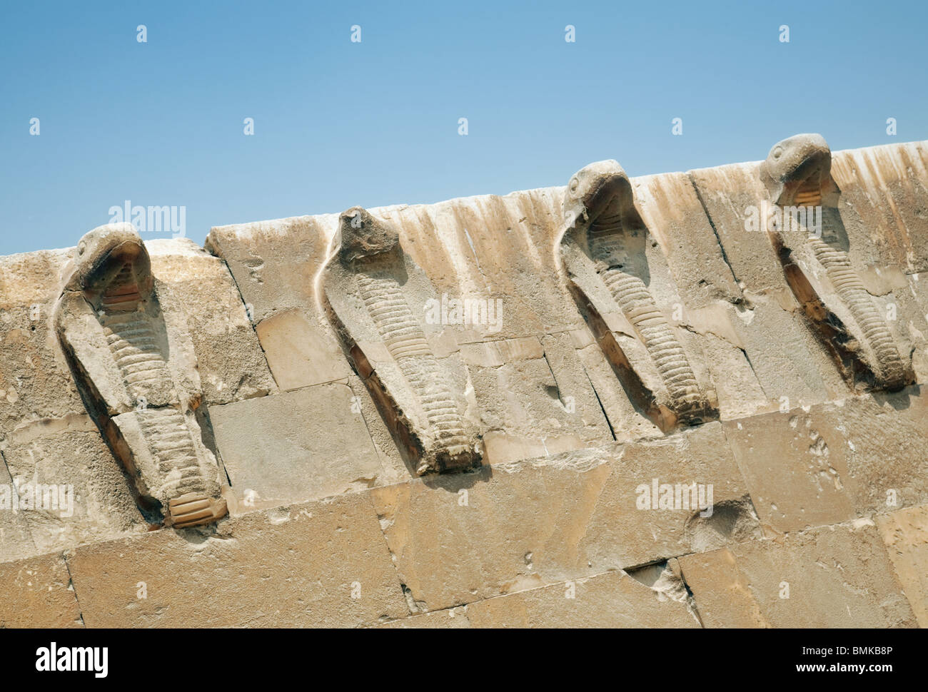 La linea del cobra statue al passo piramide di Djoser, Saqqara, Egitto Foto Stock