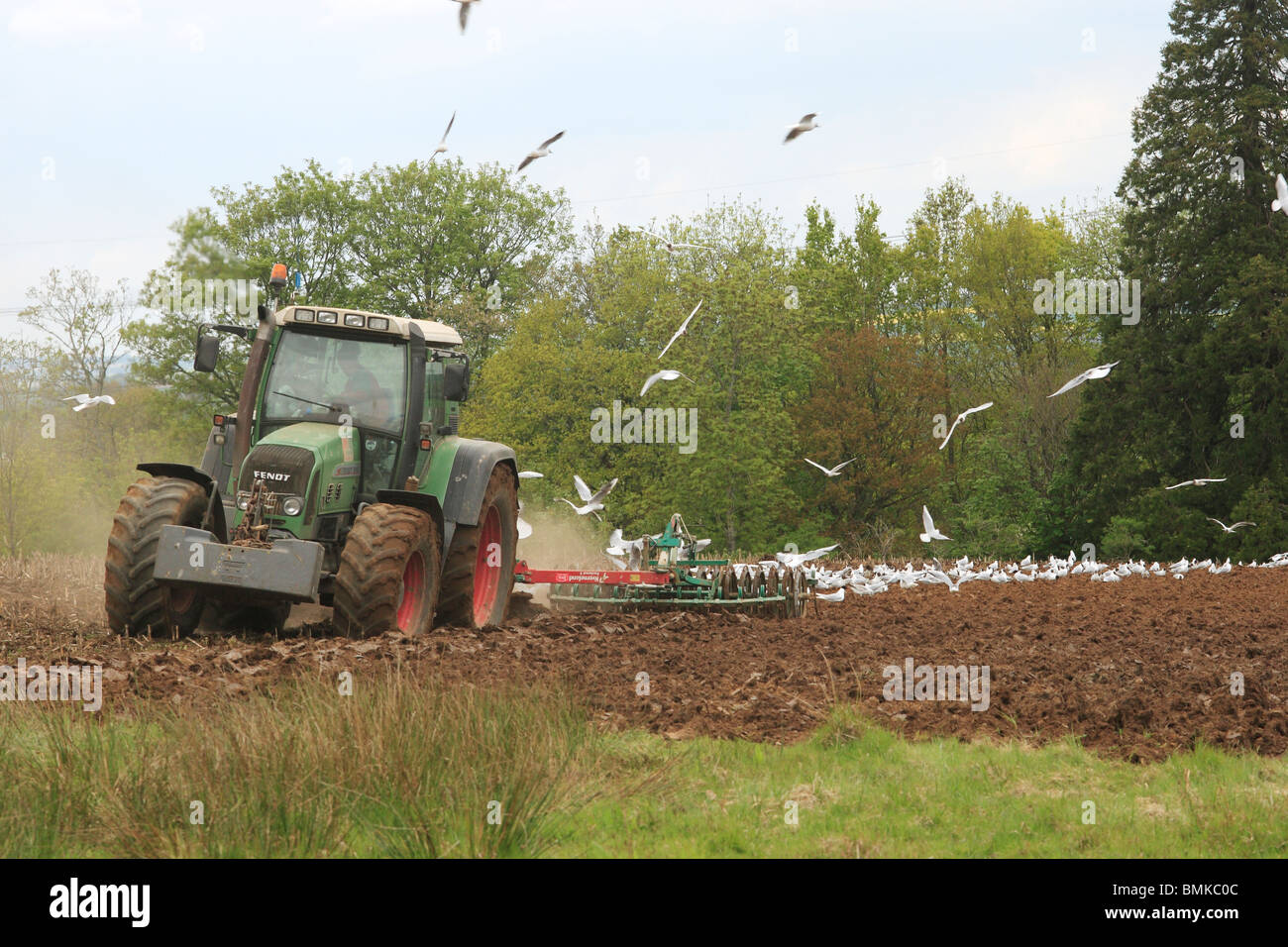 Trattore Campo di aratura, seguita da uccelli. Il Dorset, Inghilterra. Foto Stock