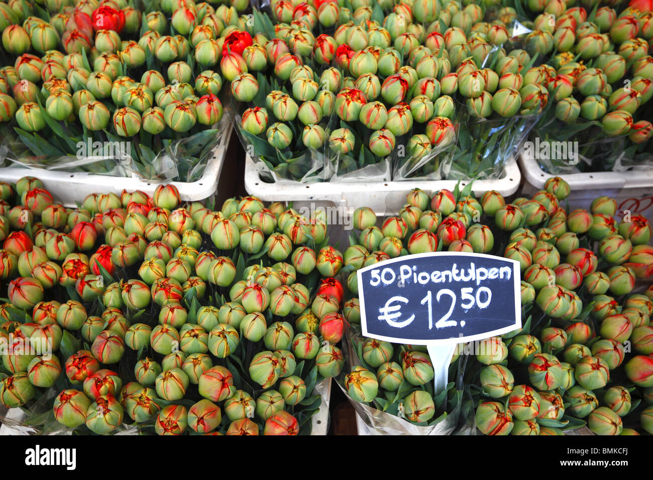 I tulipani in vendita presso il mercato dei fiori di Amsterdam, Olanda. Foto Stock
