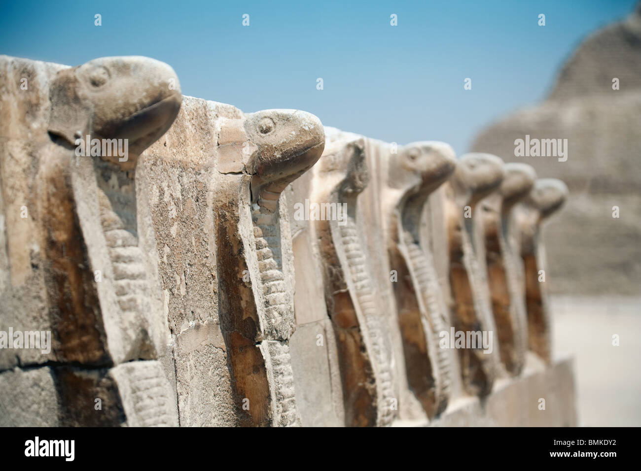 La linea del cobra statue al passo piramide di Djoser, Saqqara, Egitto Foto Stock