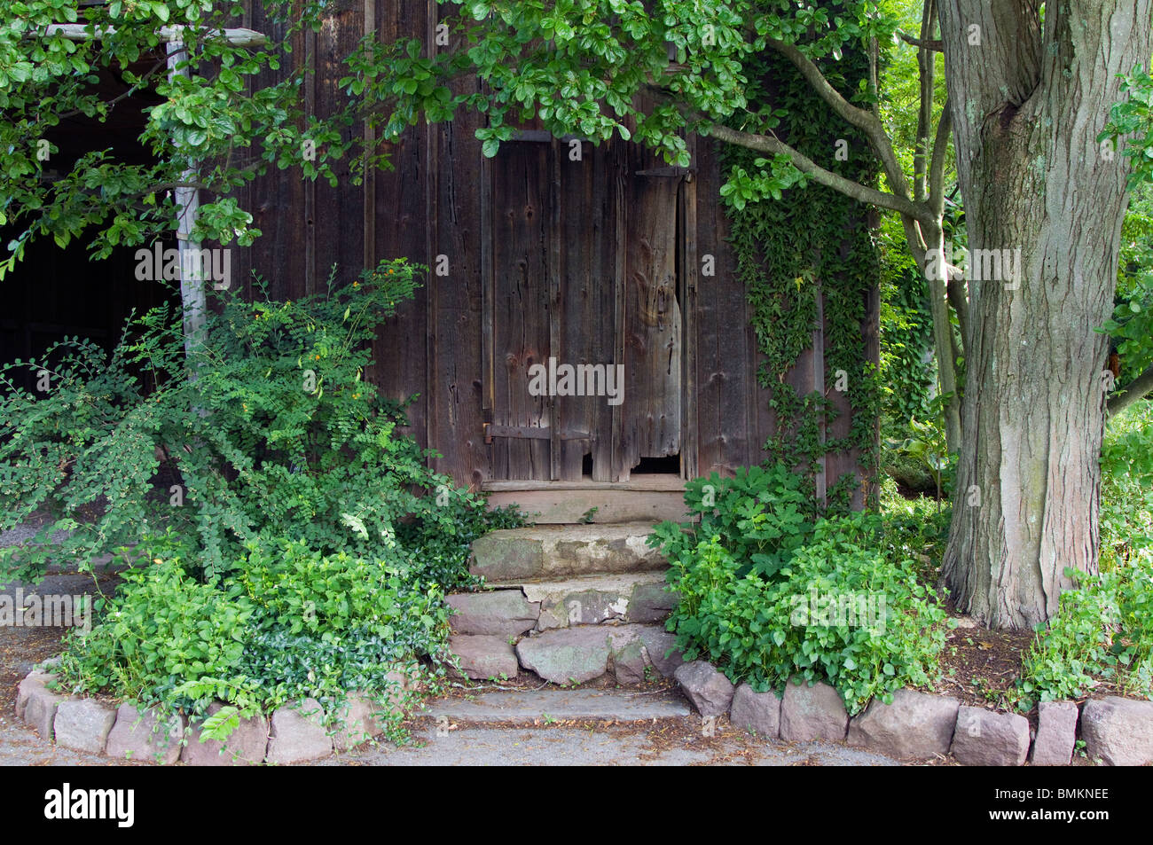 Veranda sul retro con ivy su un vecchio cottage. Foto Stock