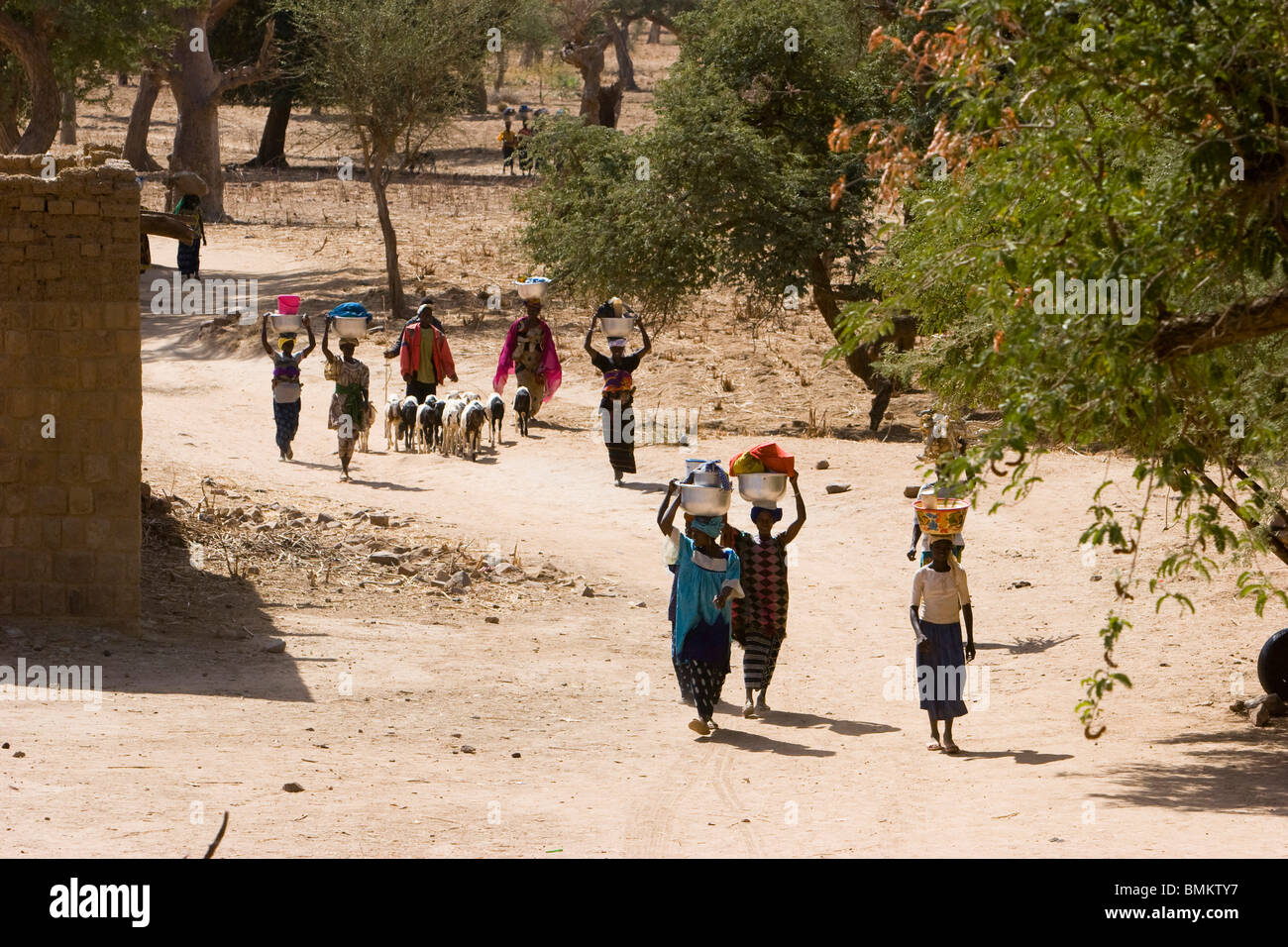 Mali, Baniani. Persone che trasportano cesti sulla loro testa Foto Stock