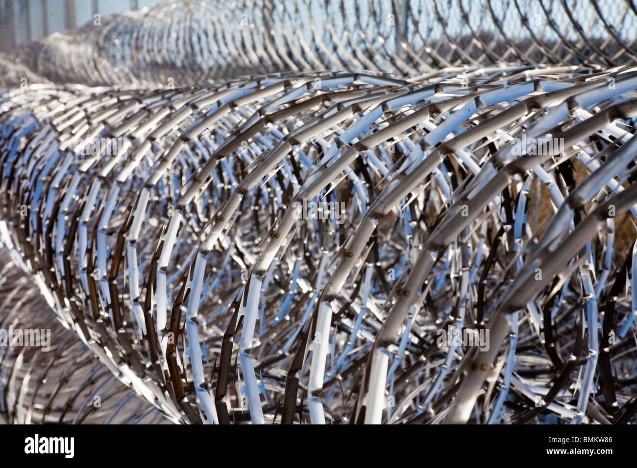 Filo spinato per recinzione in acciaio immagini e fotografie stock ad alta  risoluzione - Alamy