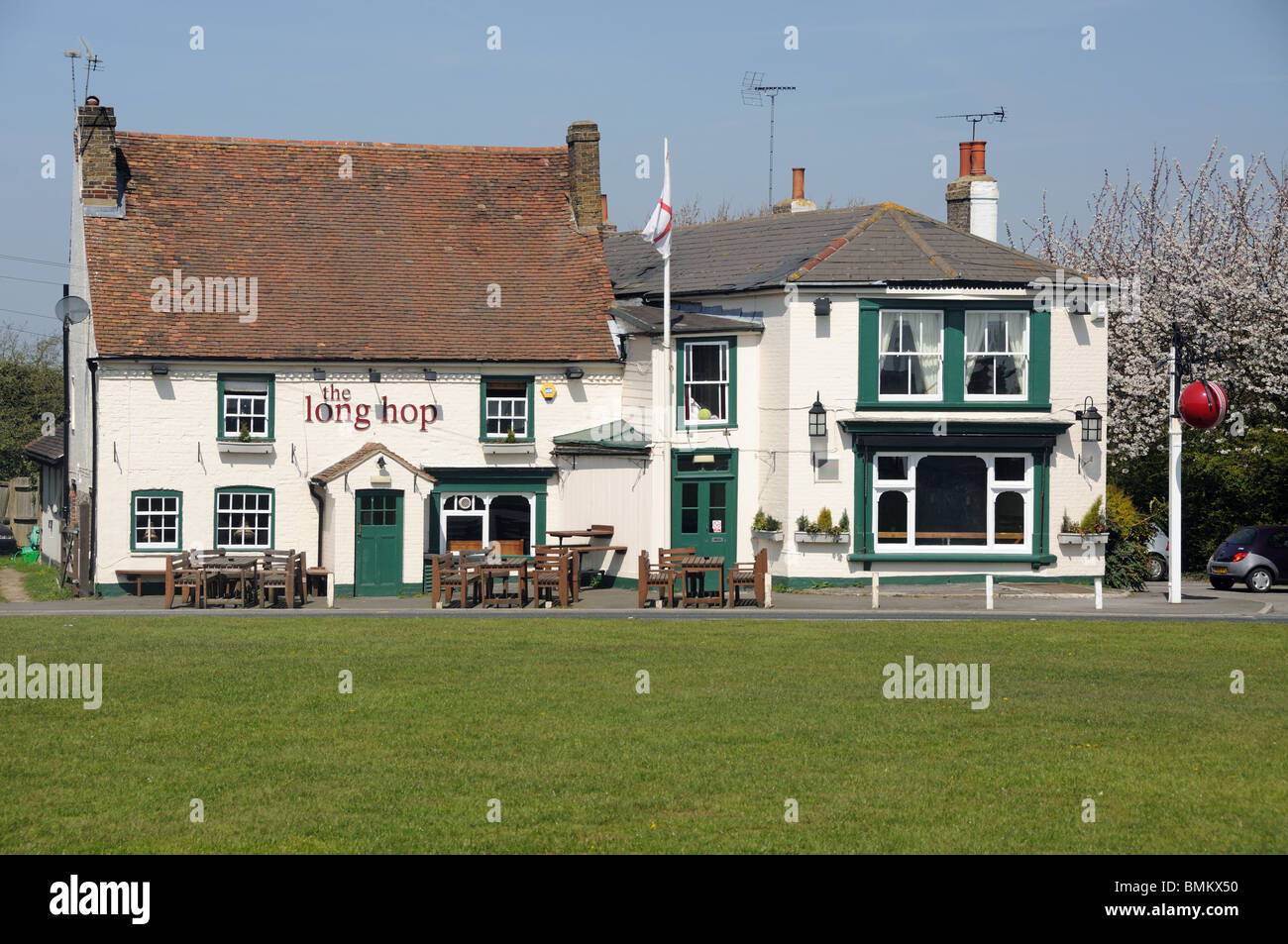 La lunga hop, in Meopham verde, Kent, Inghilterra Foto Stock