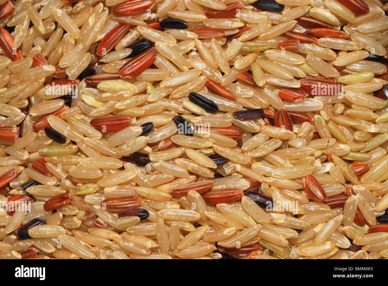 Diversi grani di rosso, nero e riso dorato. Foto Stock