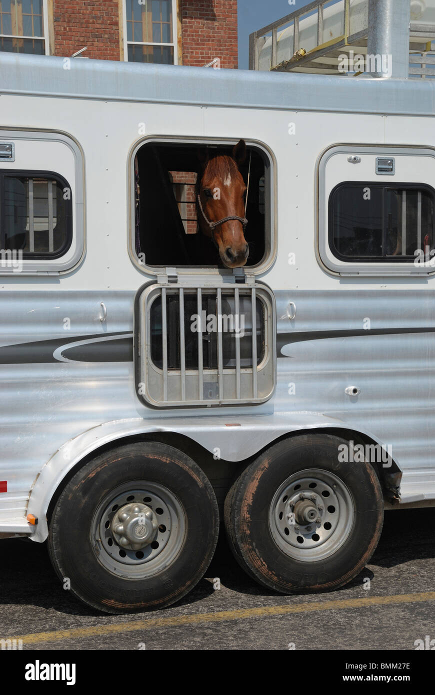 Un cavallo rimorchio a Stockyards City, Oklahoma City, Oklahoma, Stati Uniti d'America. Foto Stock
