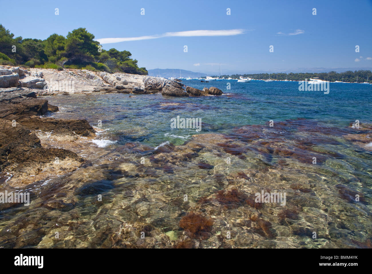 Chiare acque del Mediterraneo, a le isole di Lérins, Cannes, Francia, Provence, Francia Foto Stock