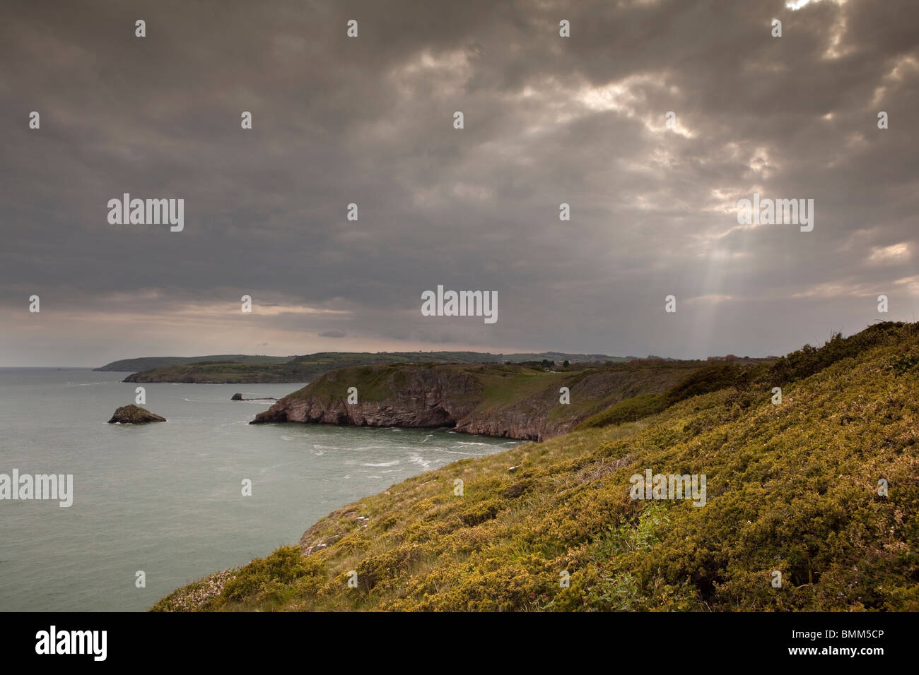 Regno Unito, Inghilterra, Devon, Brixham Berry Head, cielo tempestoso oltre Country Park Foto Stock