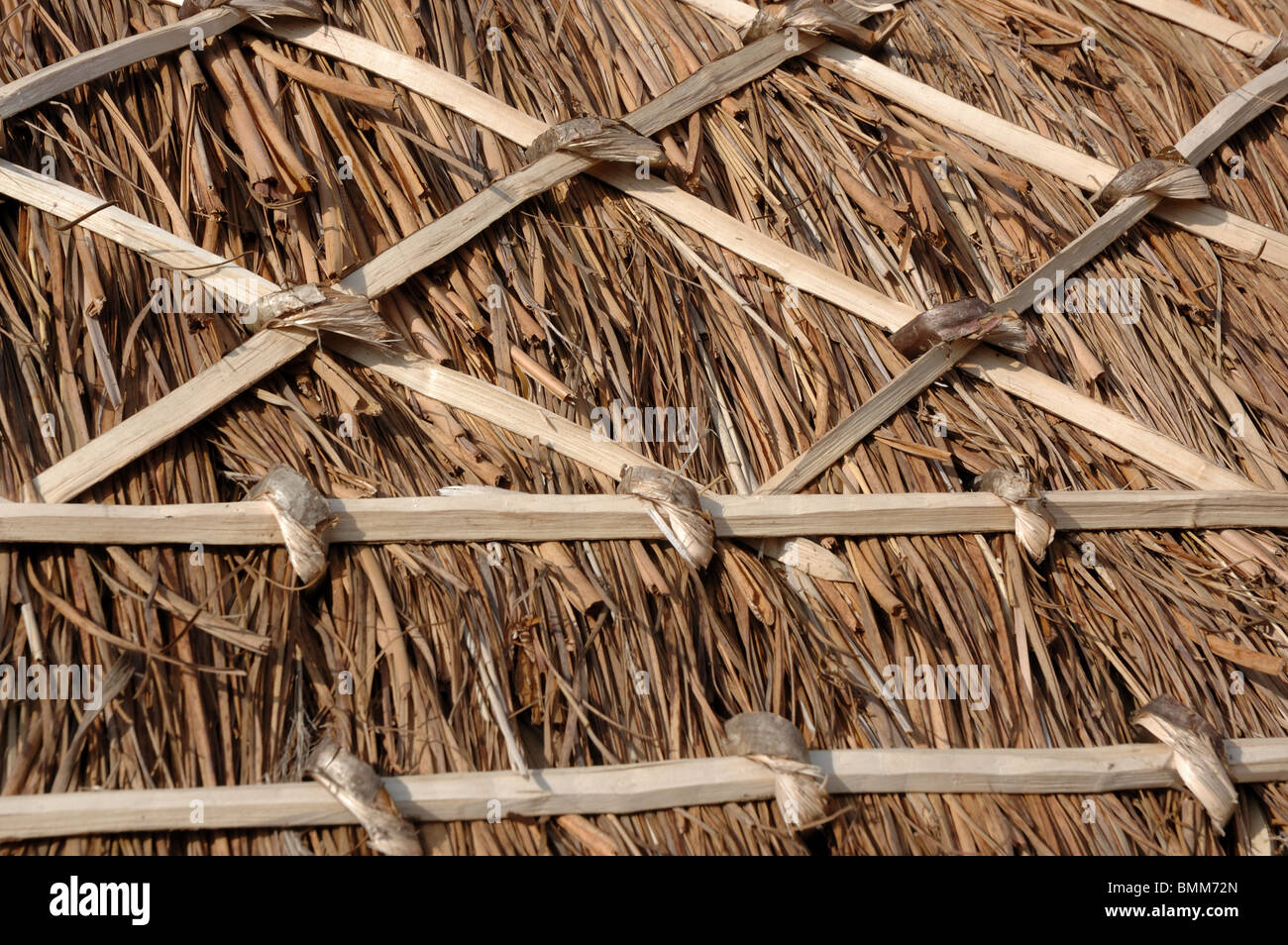 Close-up di Norfolk reed la paglia sul tetto a capanna Foto Stock