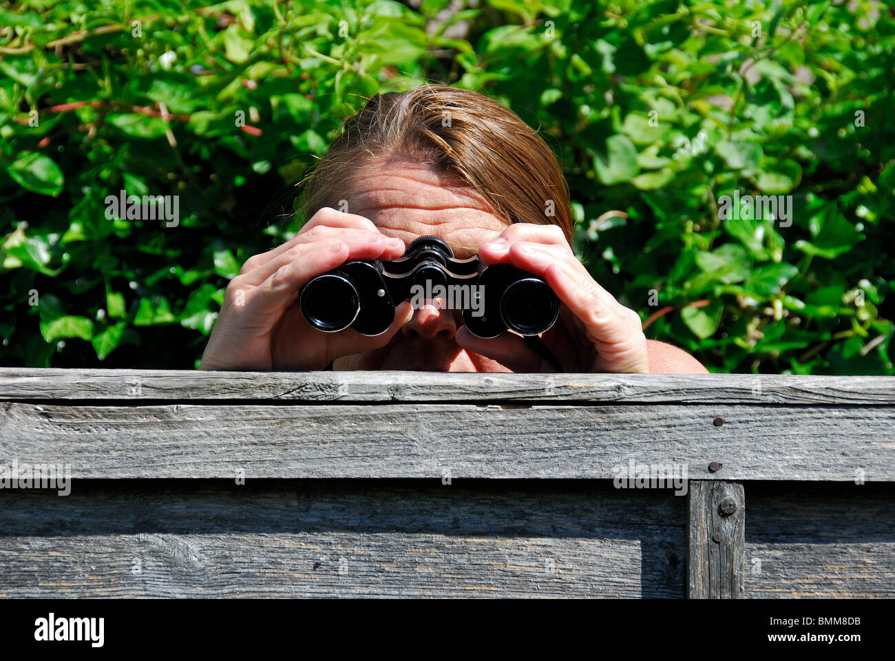 Una donna a spiare i suoi vicini di casa con un paio di binocoli. Foto Stock