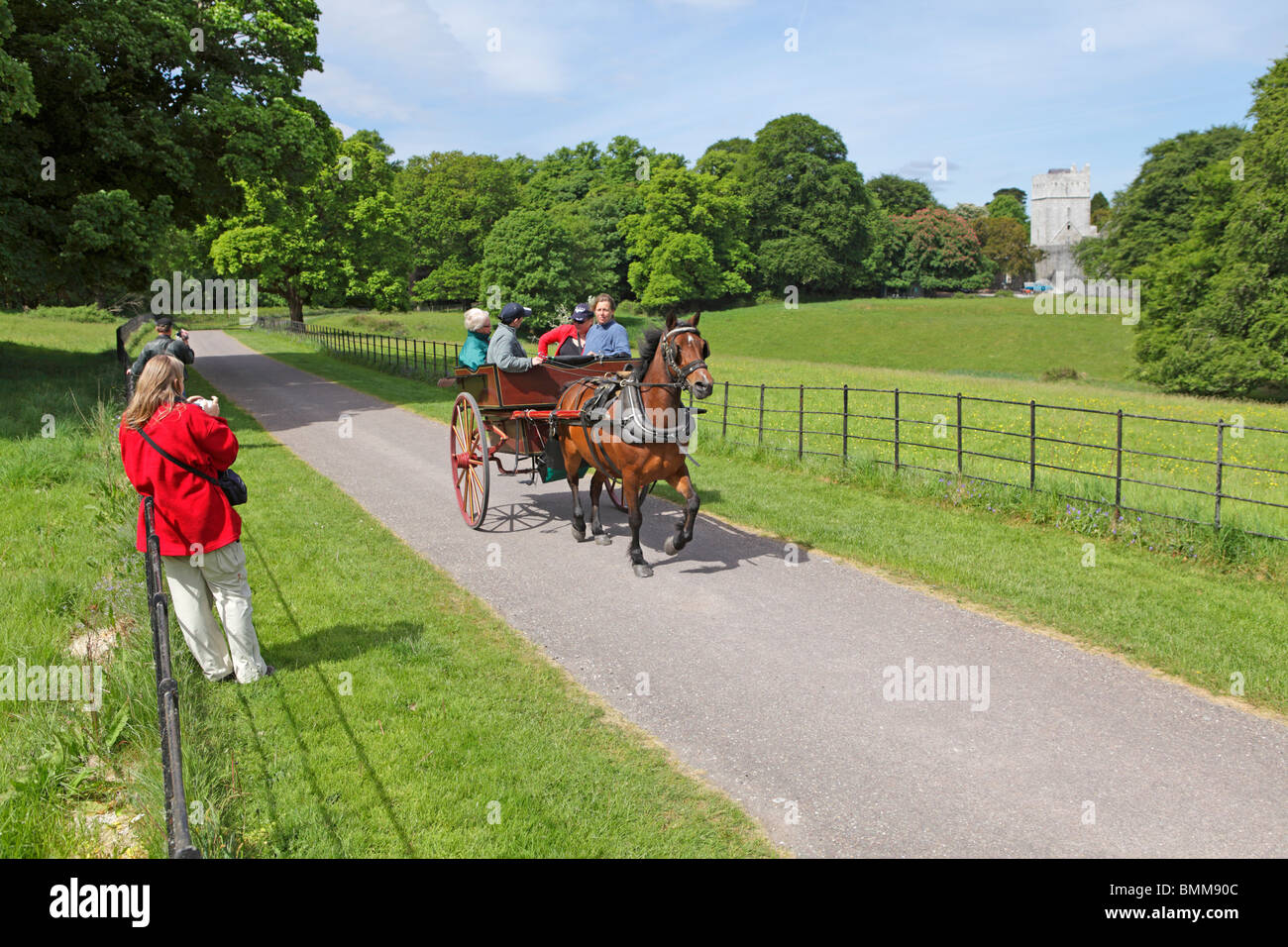 Jaunty auto, Parco Nazionale di Killarney, Co. Kerry, Repubblica di Irlanda Foto Stock