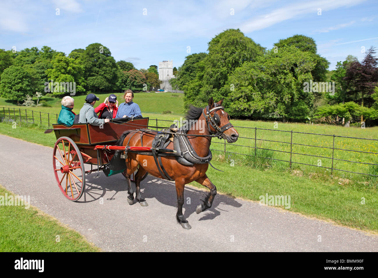 Jaunty auto, Parco Nazionale di Killarney, Co. Kerry, Repubblica di Irlanda Foto Stock