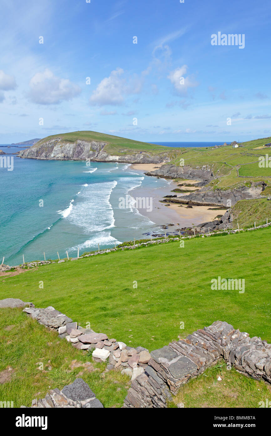 Slea testa con Coumeenoule Beach, la penisola di Dingle, Co. Kerry, Repubblica di Irlanda Foto Stock