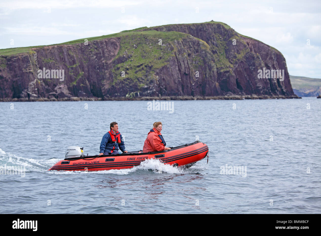 Viaggio con i delfini nella baia di Dingle, penisola di Dingle, Co. Kerry, Repubblica di Irlanda Foto Stock