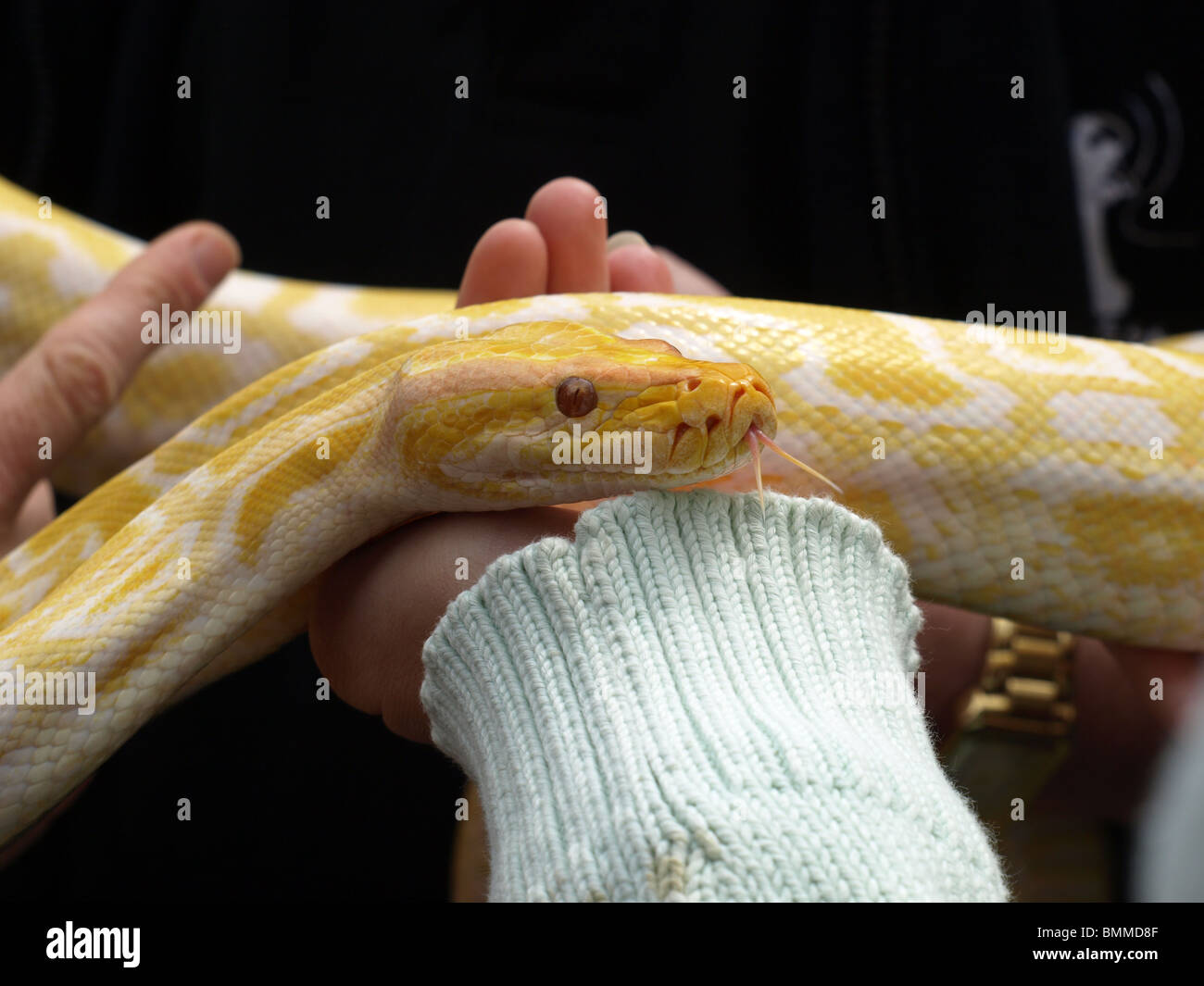 Per conoscersi Foto Stock