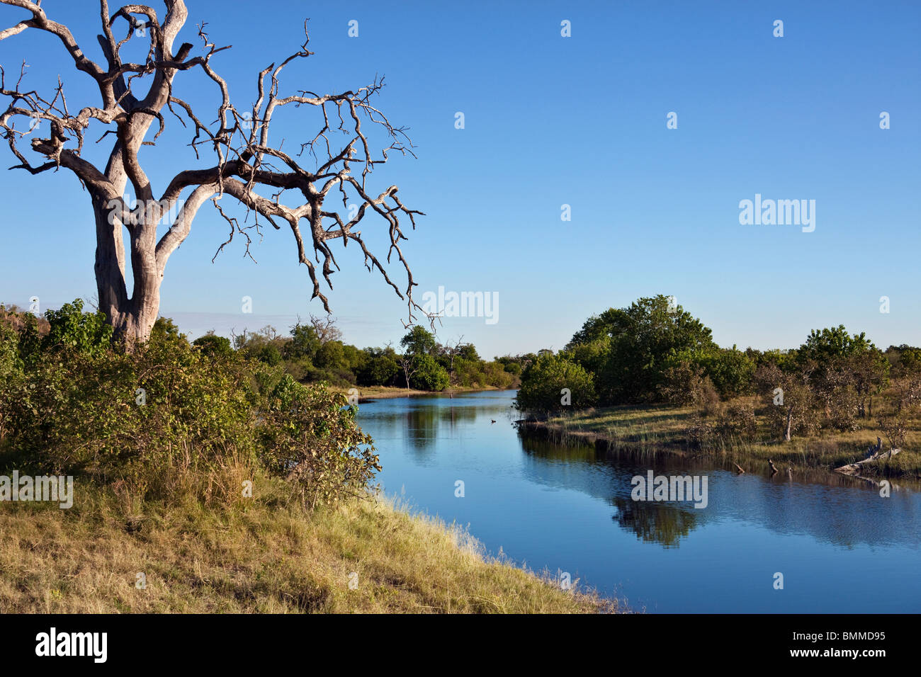 Il nuovo invaso canale Savuti nel nord del Botswana. Foto Stock