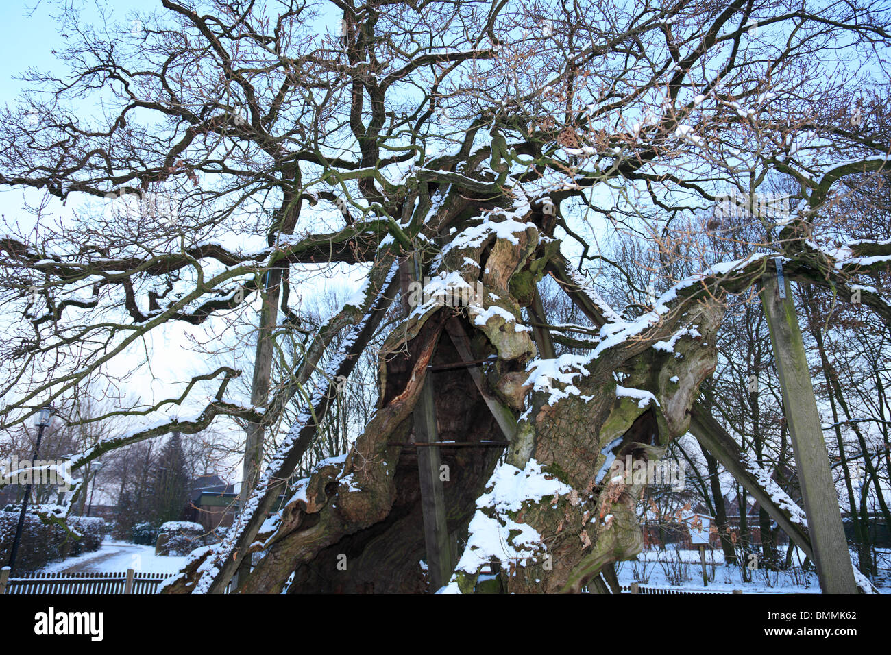 Mittelalter, Femegericht, Femeiche in Raesfeld-Erle, Naturpark Hohe Mark, Muensterland, Niederrhein, Renania settentrionale-Vestfalia Foto Stock