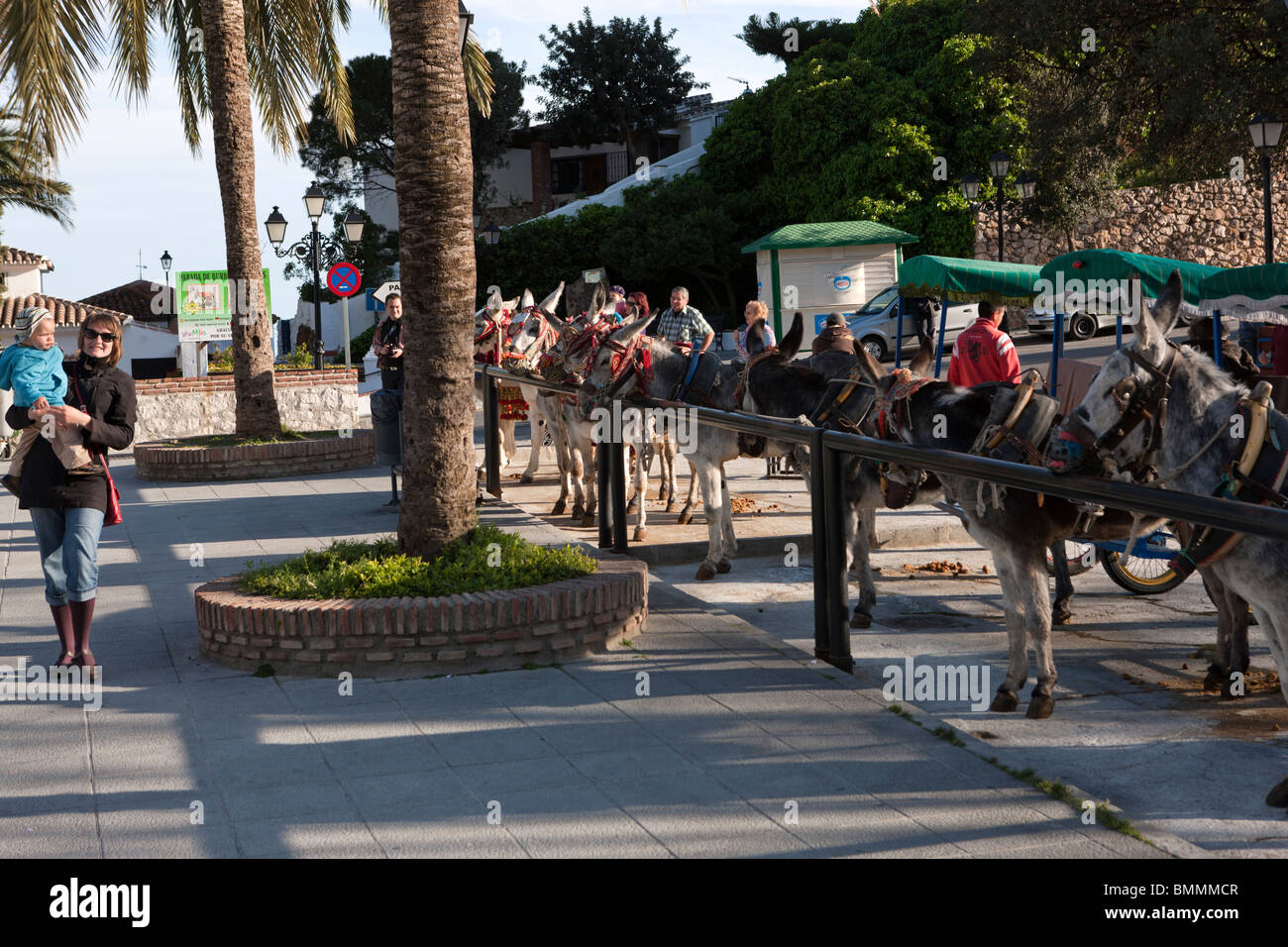 Taxi turistici asino a Mijas. Provincia di Malaga. Costa del Sol. Spagna. Europa Foto Stock