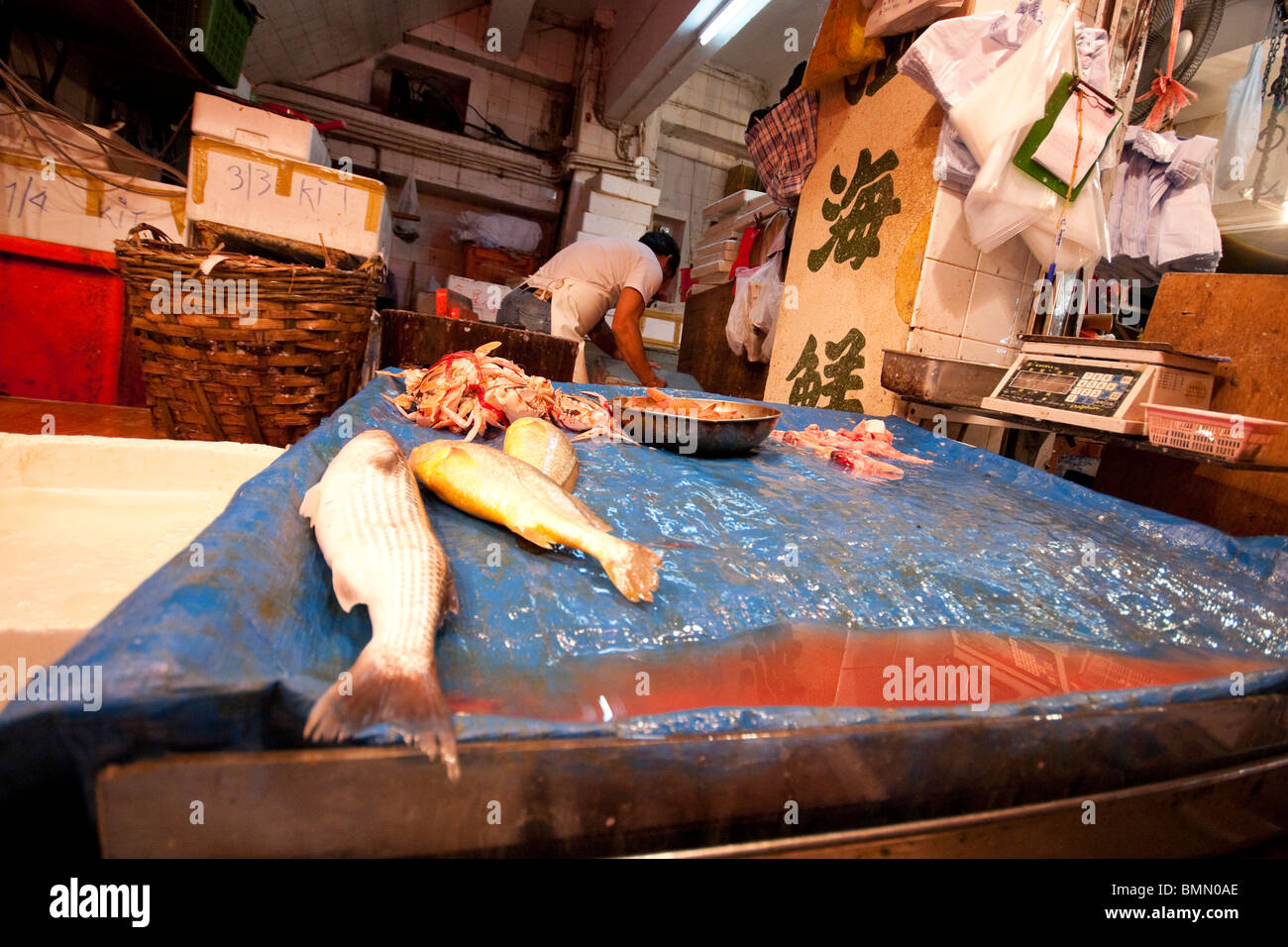 Pesci sul display in negozio nel mercato del pesce di Hong Kong Foto Stock