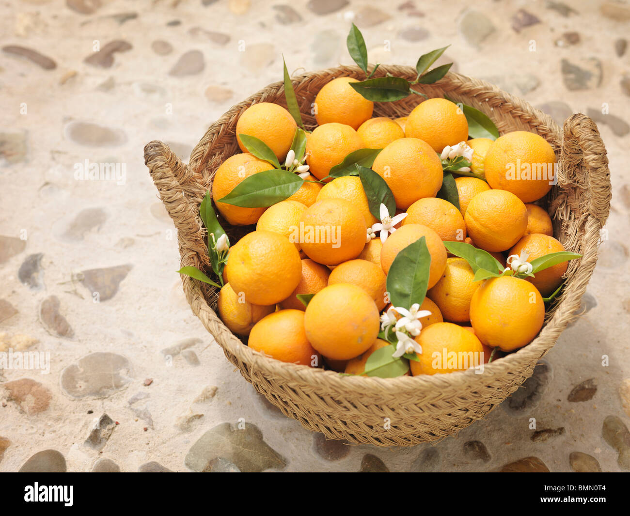 Arance e fiori in willow basket Foto Stock