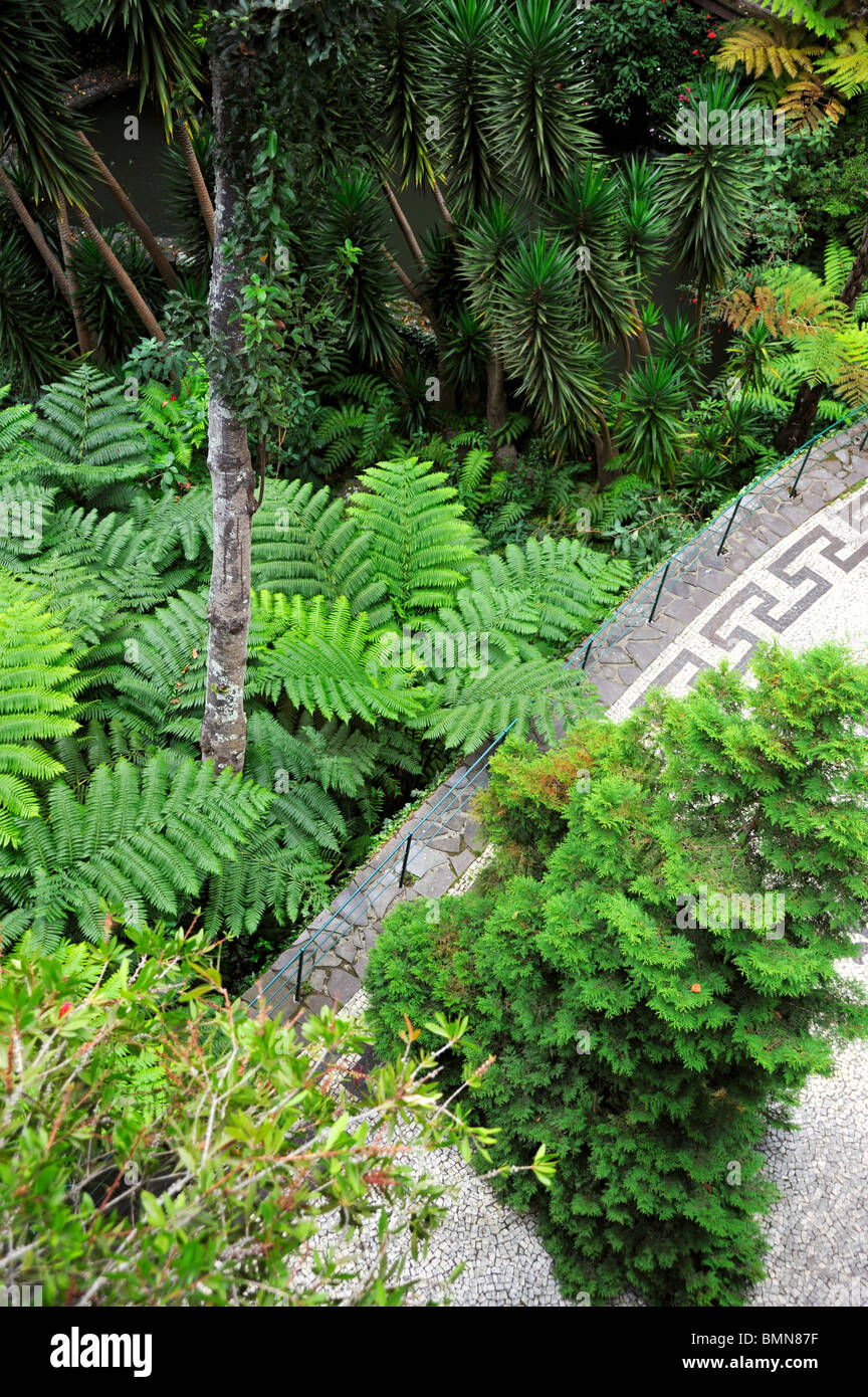 Monte Palace Tropical Garden - Monte, Madeira - dettaglio Foto Stock
