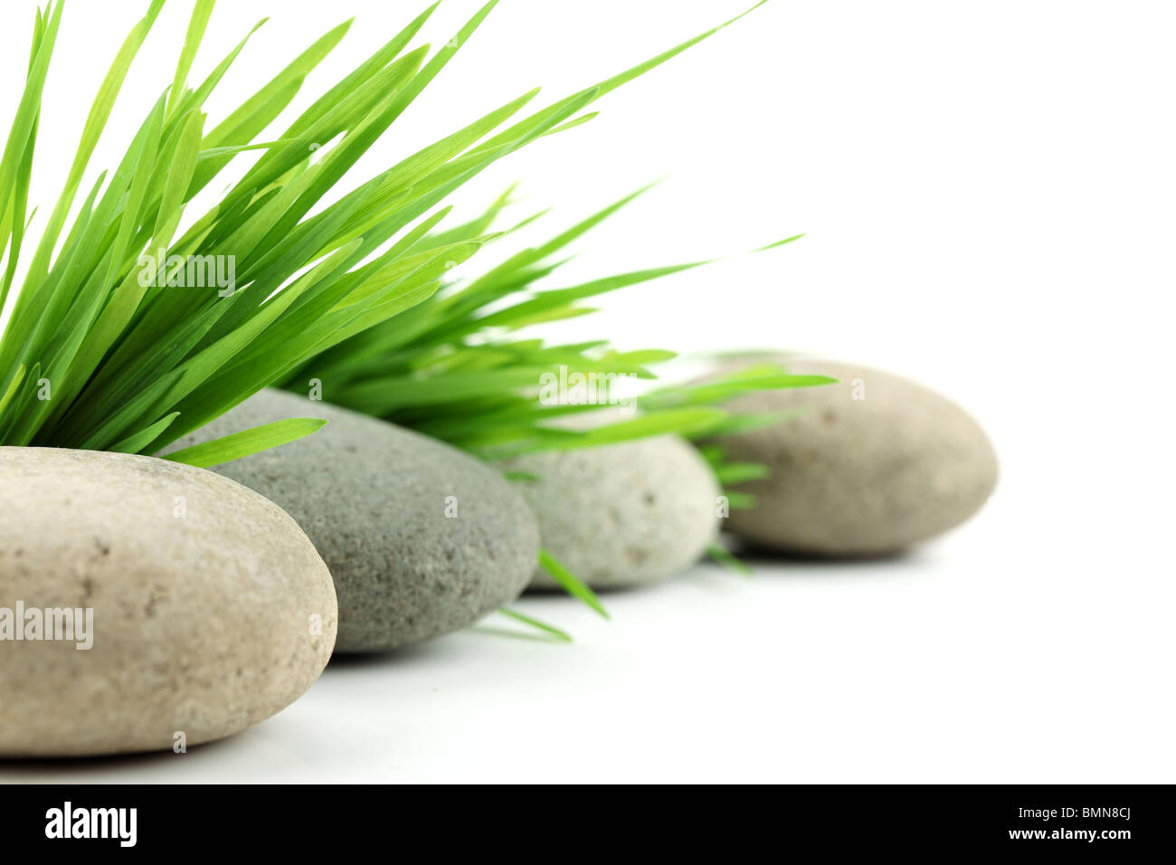 Zen Stone con erba fresca su sfondo bianco Foto Stock
