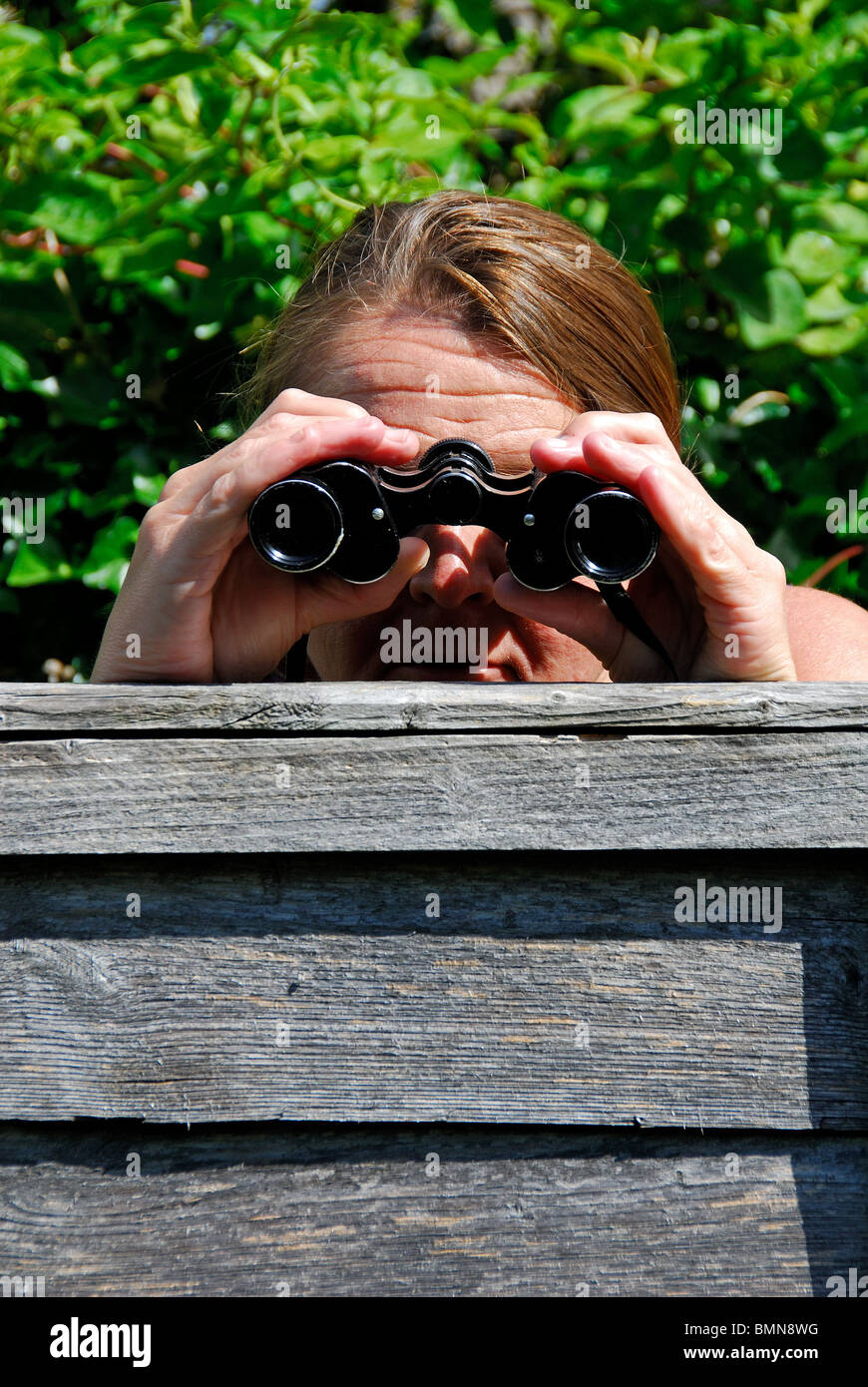 Una donna ficcanaso a spiare i suoi vicini di casa. Foto Stock