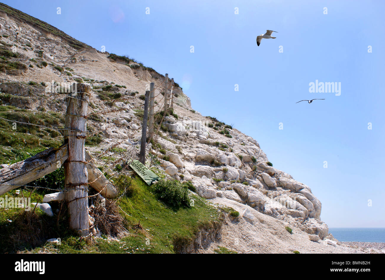 Erosione costiera sulla South Downs in East Sussex. Foto Stock