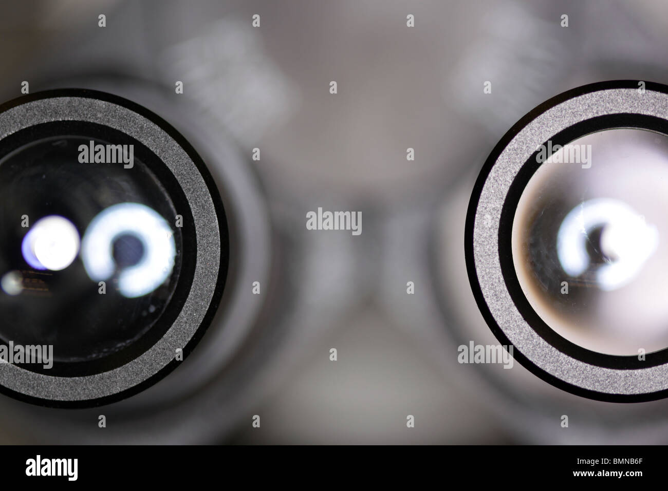 Microscopio binoculare close up oculare Foto Stock