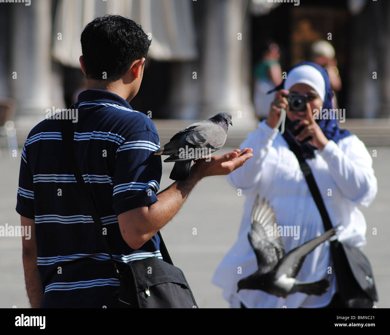 I turisti scattare foto con i piccioni in Piazza San Marco, Venezia, Italia Foto Stock