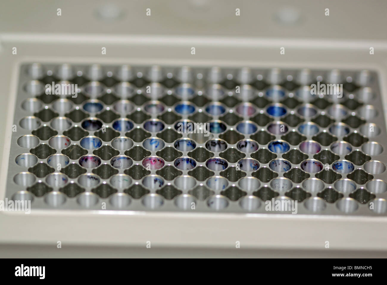 Close-up della macchina PCR- un thermal cycler Foto Stock