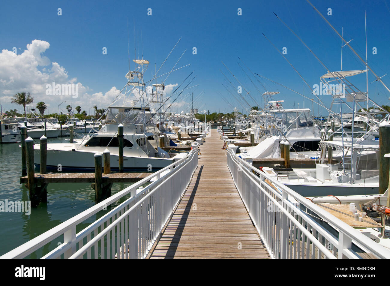 Sport di lusso barche da pesca nel Ft Pierce marina Florida Foto Stock
