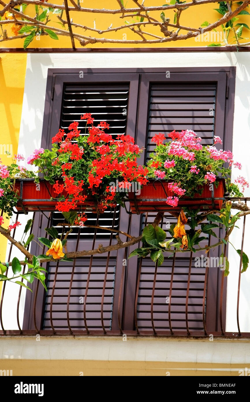 Italia; fiori di colore rosso su un balcone Foto Stock