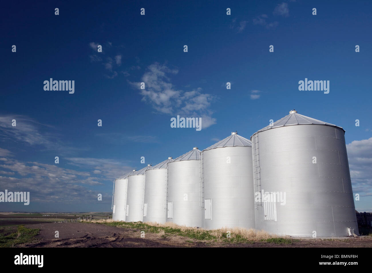Fila di silos in metallo Foto Stock